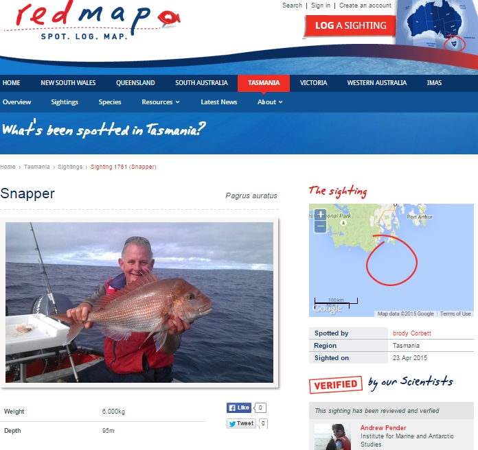 An example of a sighting displayed on the Redmap website: this one is a snapper caught south of Hobart and well out of its range.
