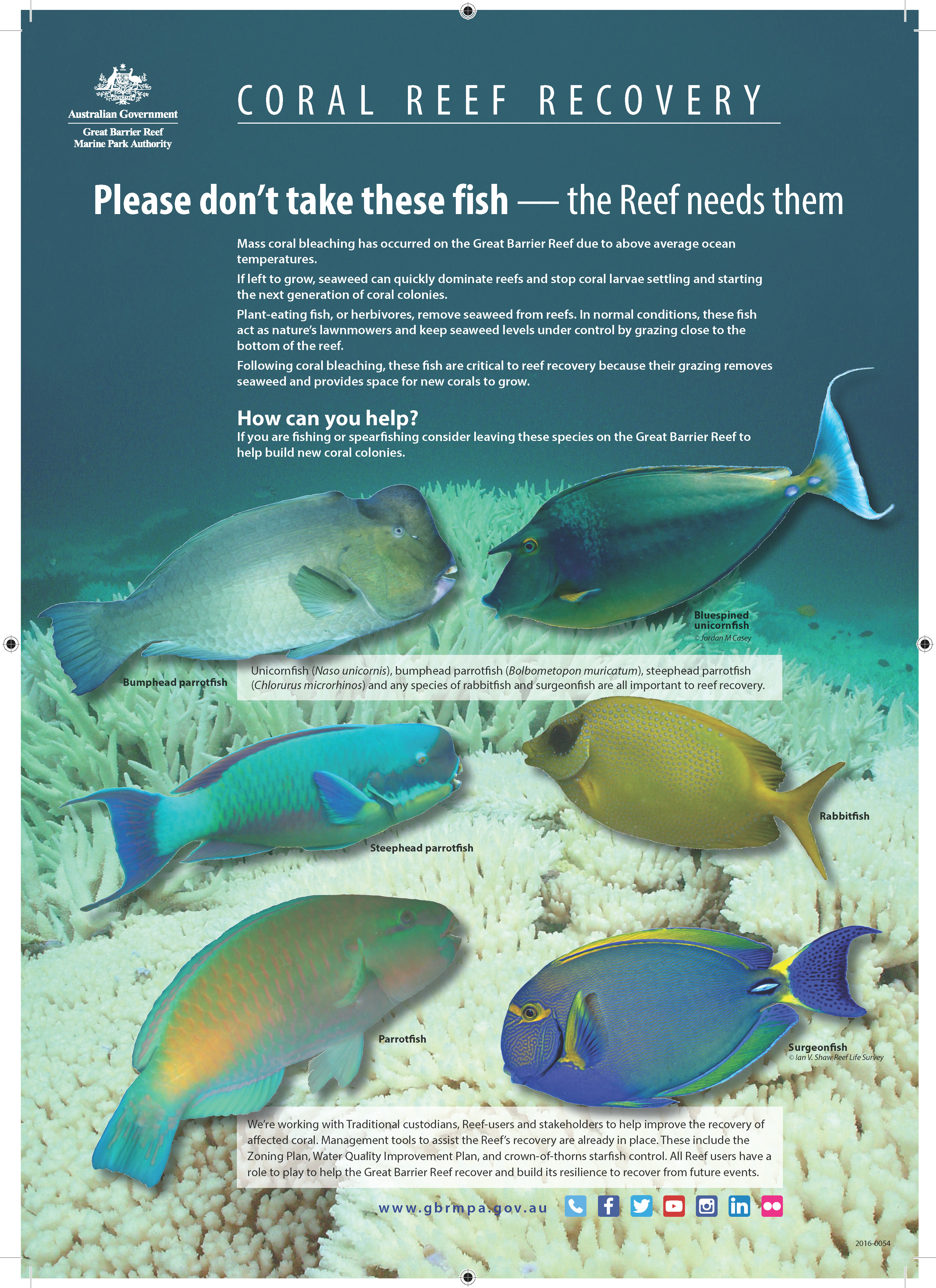 Spare not spear planteating fish? Redmap