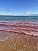 Red tide