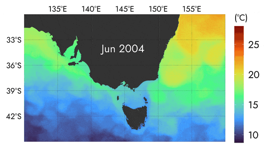 animation of sea surface temperature from 2004-2022 in southeast australia